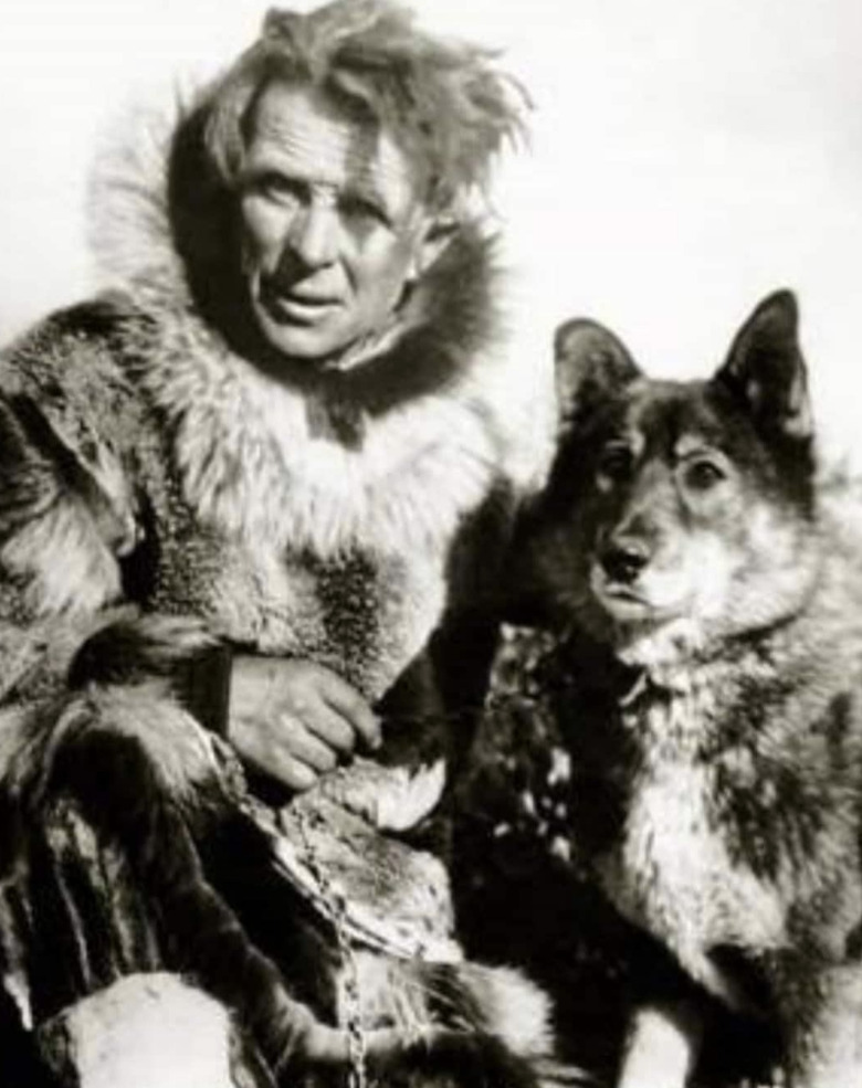 Togo the Sled dog, who helped deliver medicine in Alaska in 1925