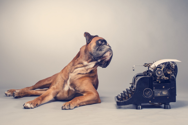 Boxer dog making note