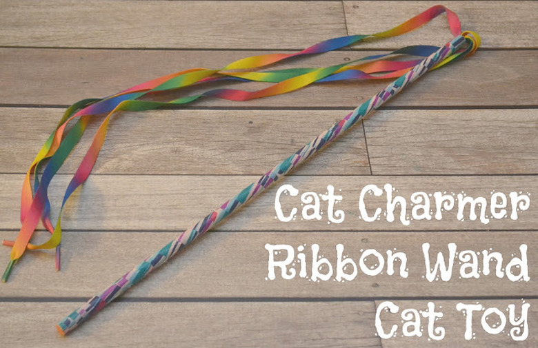 Ribbon Cat Teaser