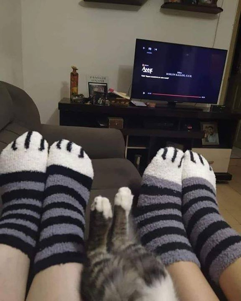 Two sets of human feet in socks meant to look like cat paws lying on either side of actual cat paws.