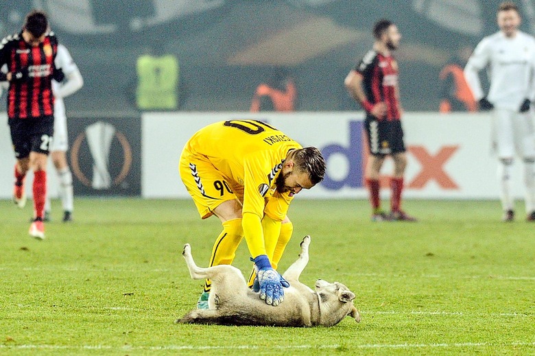 Athletes on a field with one in the foreground bent over, rubbing the belly of a dog laying on their back on the field.