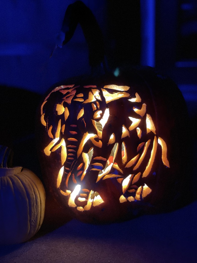 Elephant carved into pumpkin.