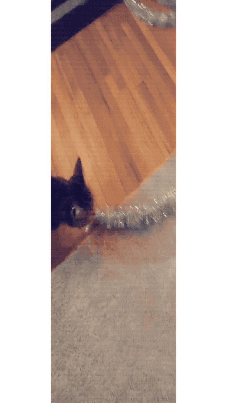 cat stealing tinsel from Christmas tree.