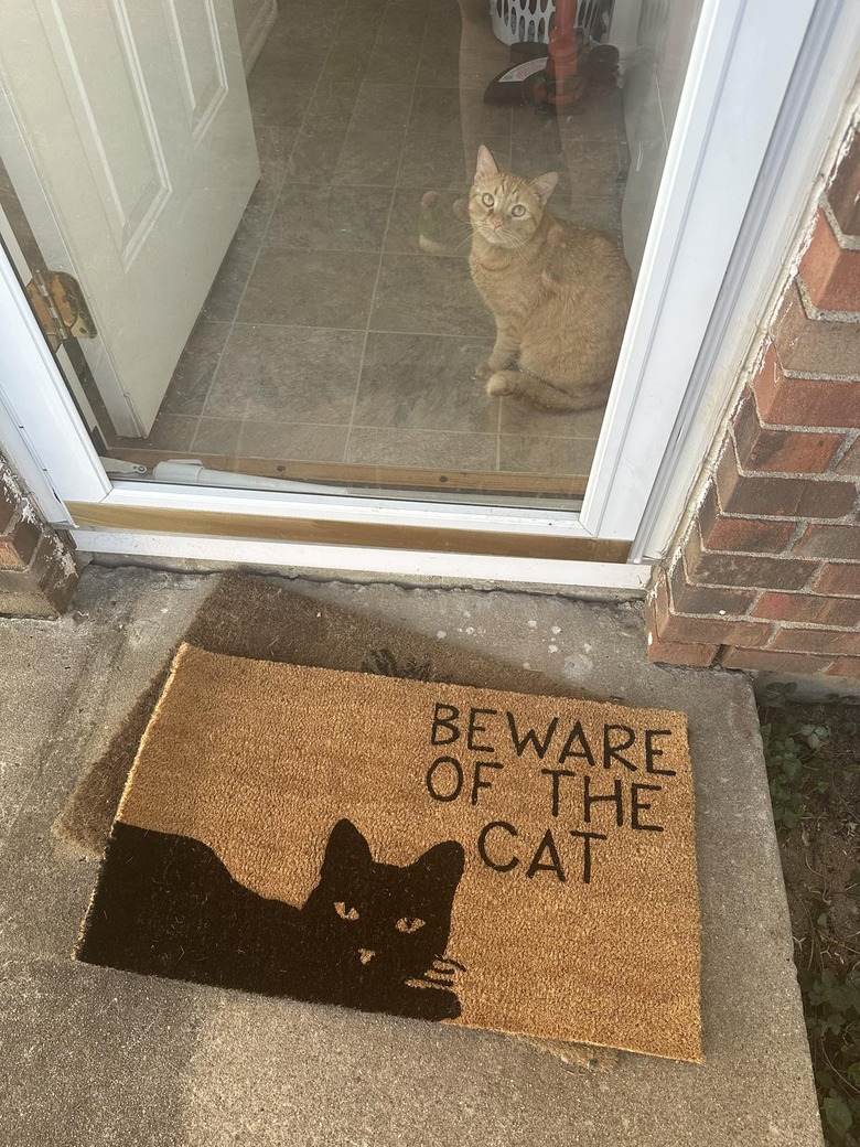 orange cat in front of doormat that says 