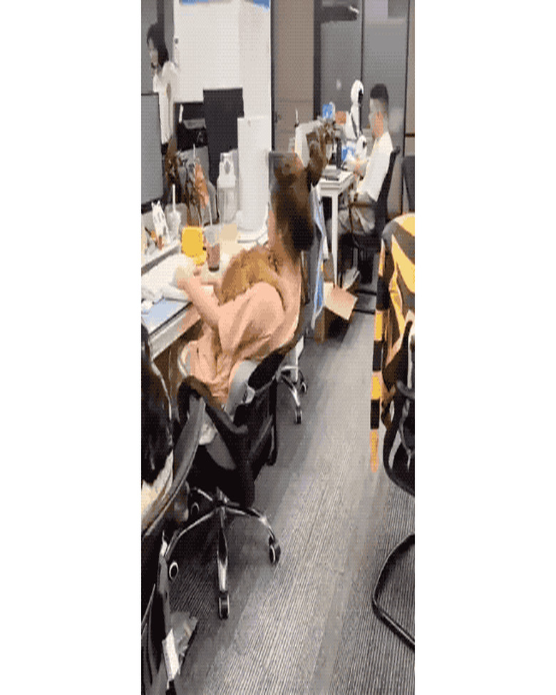 Orange cat cuddles on woman's shoulder in an office.