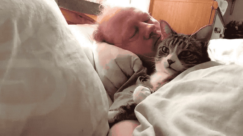 Cat curls up next to sleeping man.