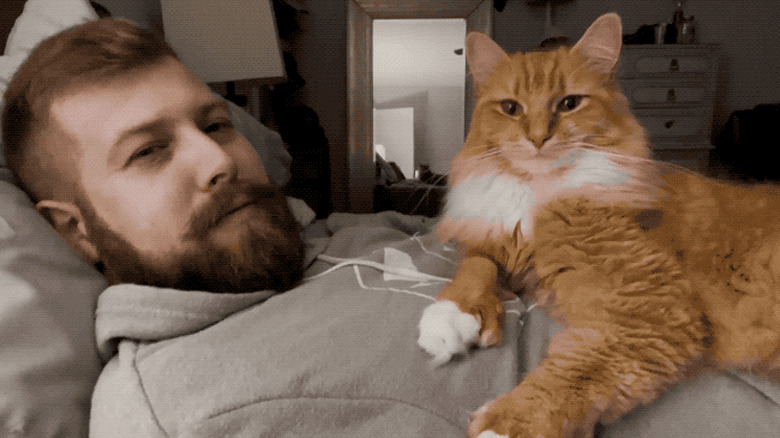 Orange cat sleeps on man's chest.