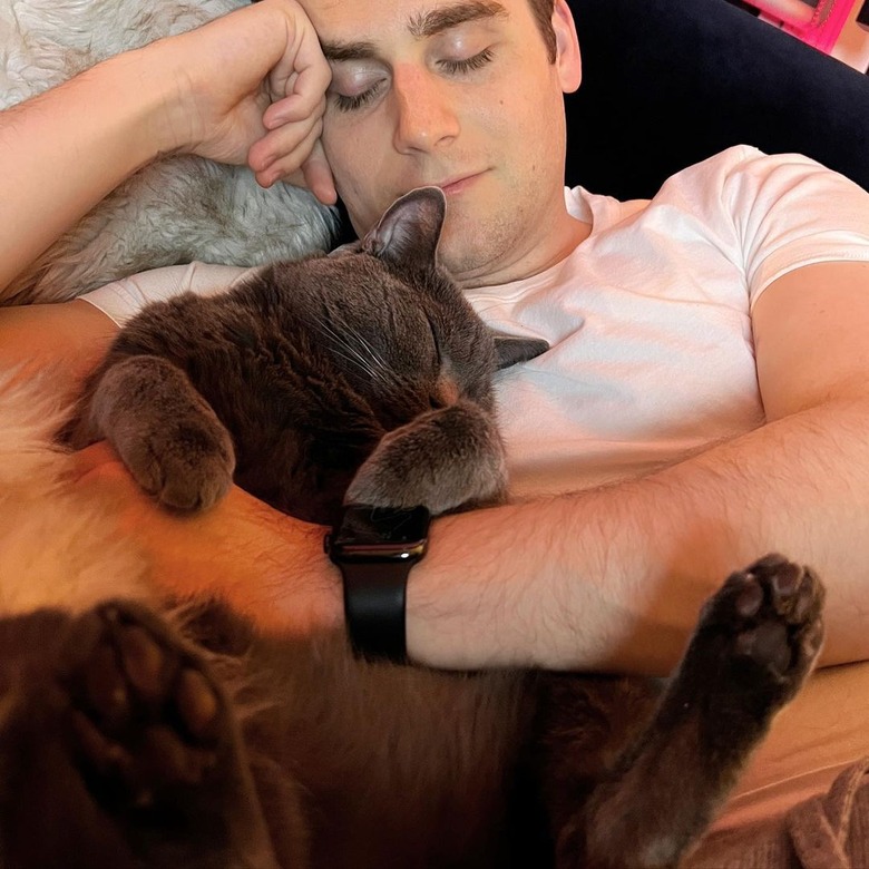 Man and gray cat sleeping next to each other.