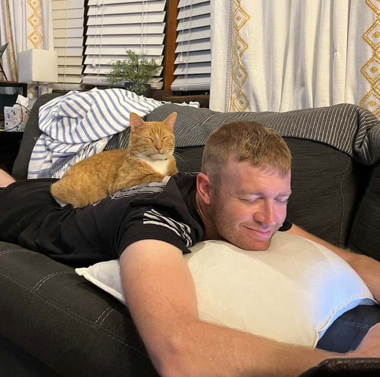 orange cat sleeping on man