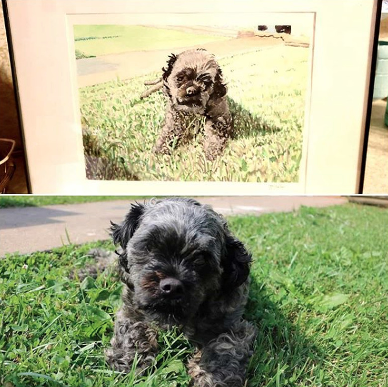 dog in grass with his custom portrait.