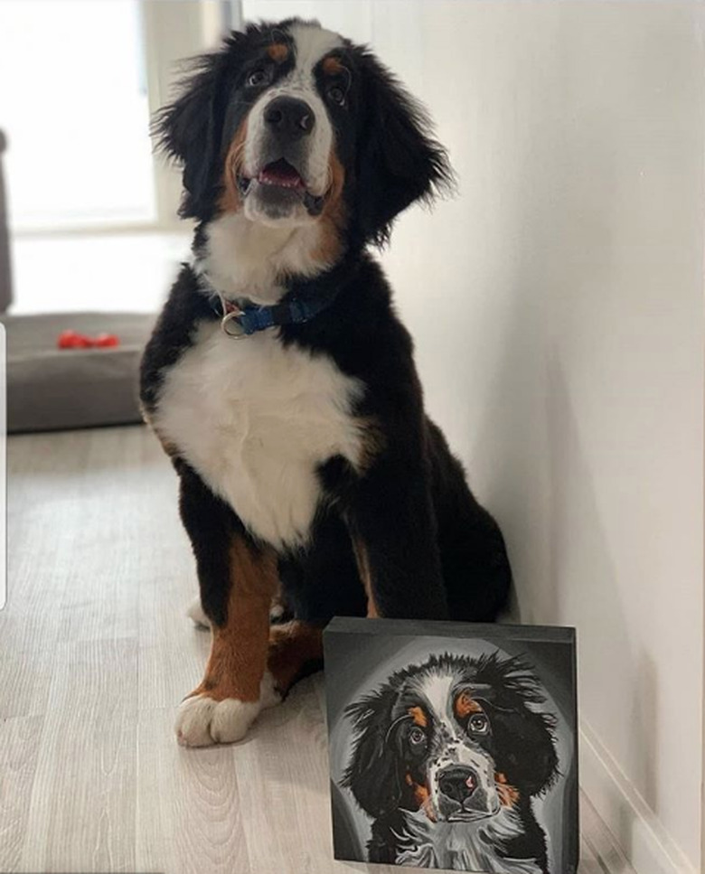 bernese dog posing next to his custom portrait.