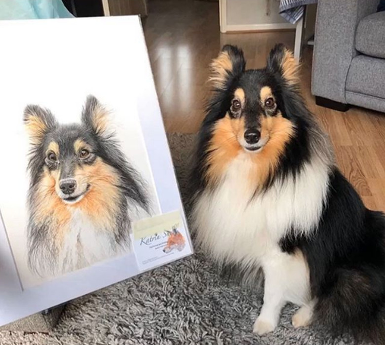 collie next to its portrait.