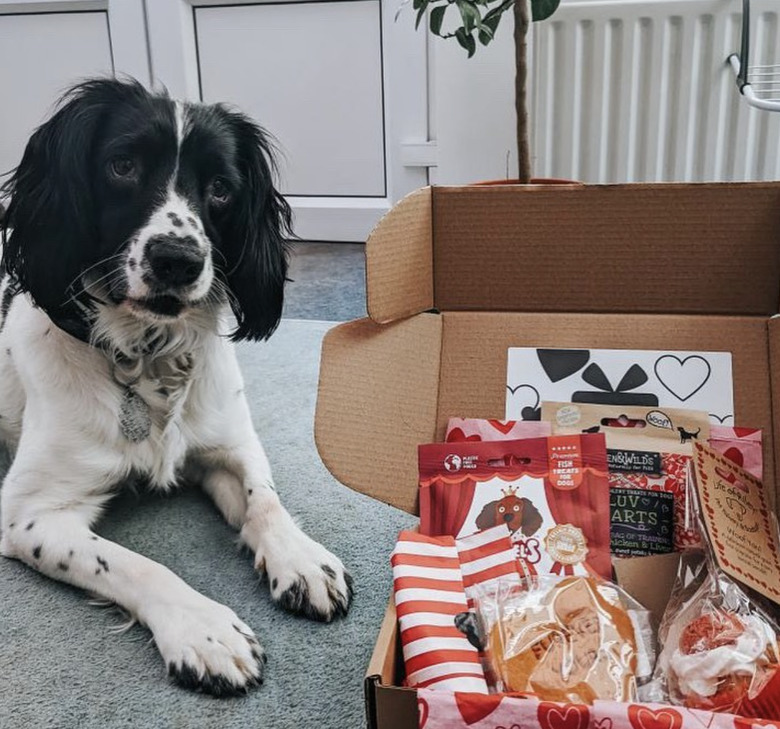 a dog lying next to a box of treats.