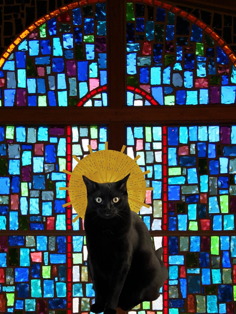 cat photoshopped into catholic saint portrait