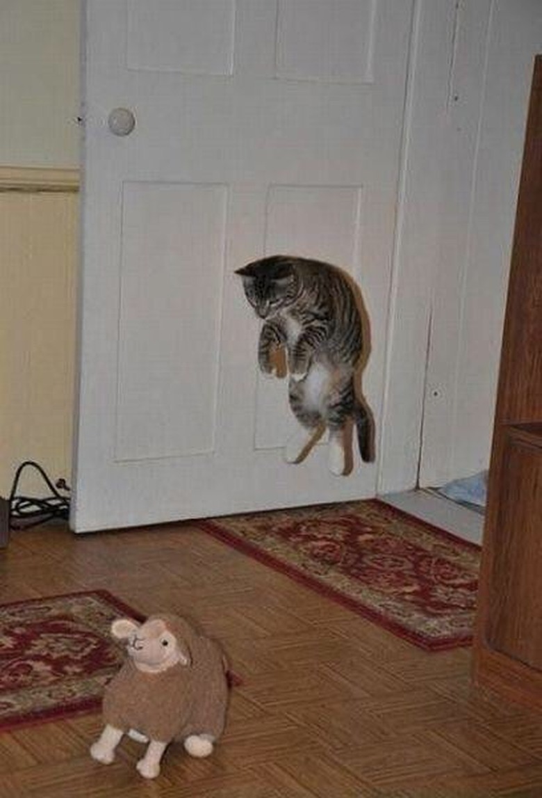 A cat mid-air pounding on a stuffed sheep.