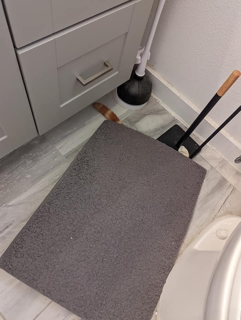 cat hiding under bath mat.