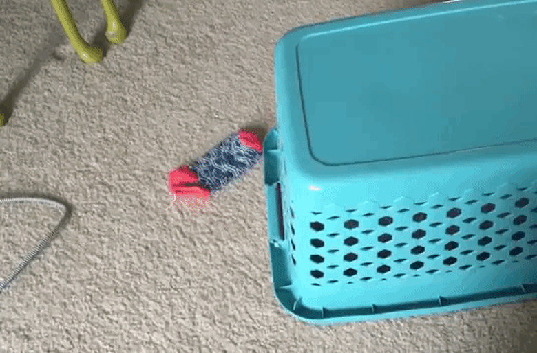 sneaky cat drags sock closer to them while hiding in a laundry basket.