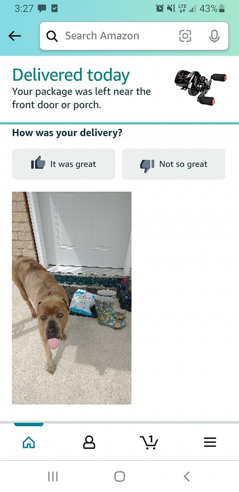 nice dog greets delivery person.