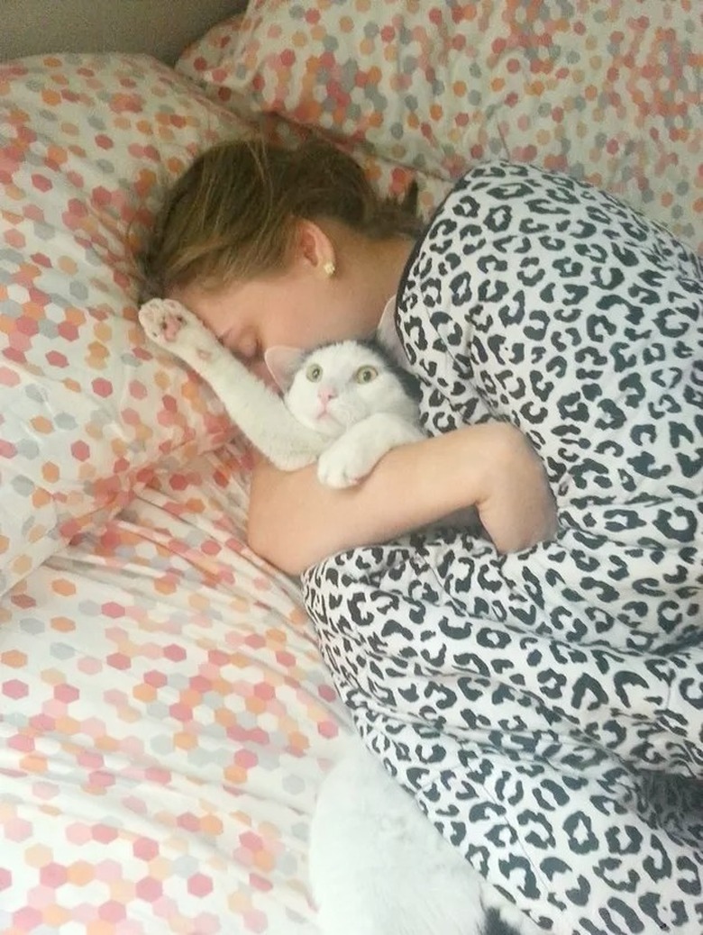 sleeping woman cuddles cat hard