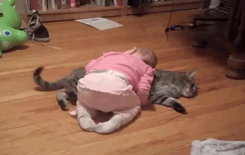 baby sleeps on cat