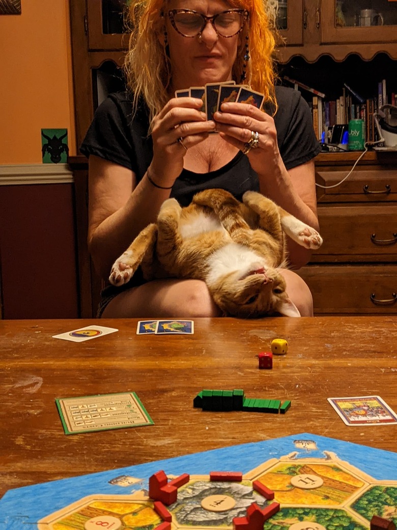 cat sleeps upside down on women's lap.