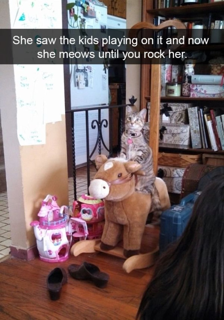 cat on rocking horse