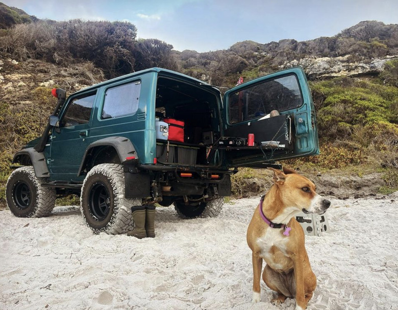 dog sitting outside a jeep.