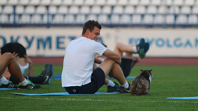 Cat sitting next to athlete on soccer field.