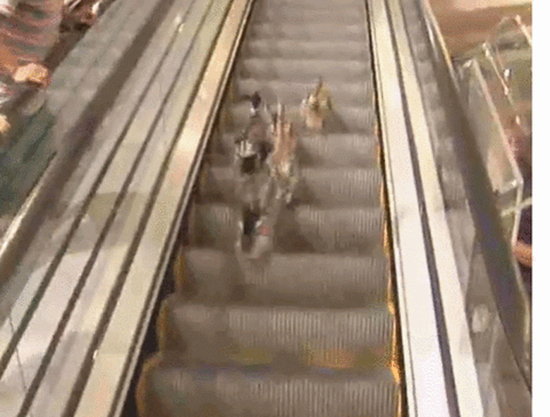 ducks on escalator