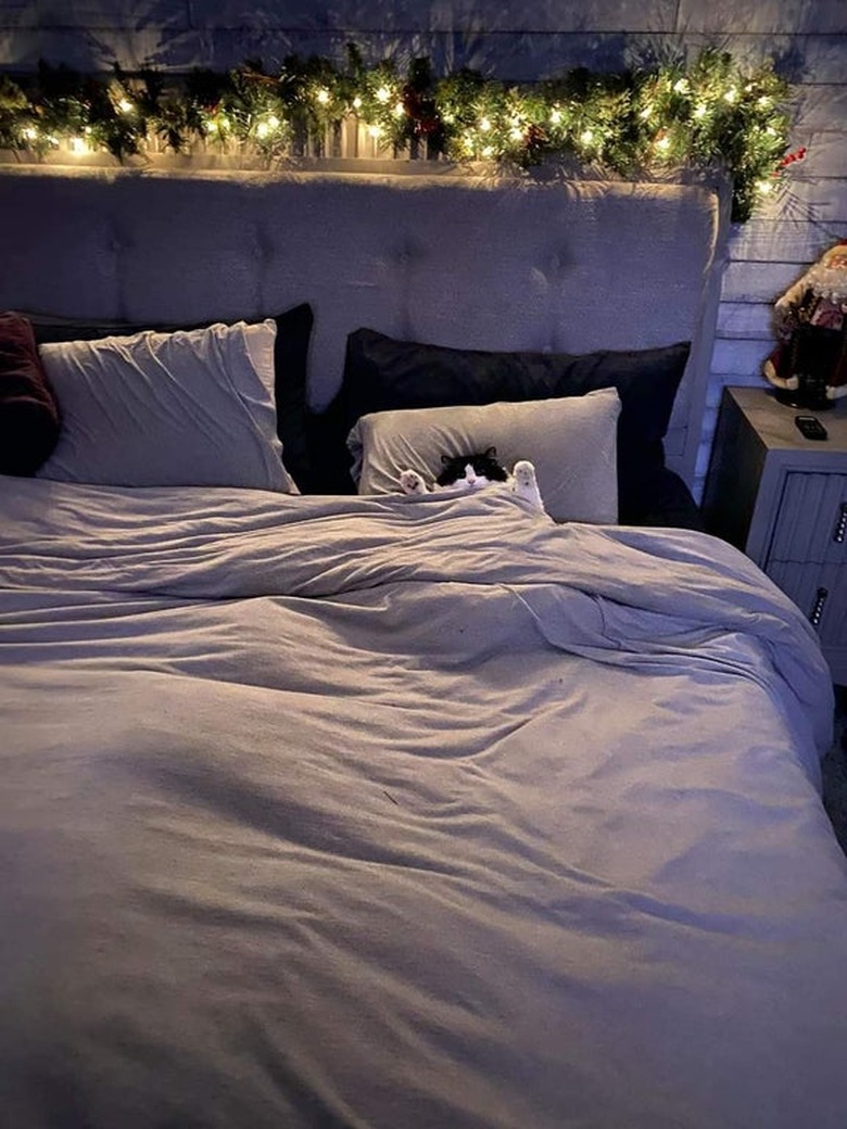 A black and white cat with its paws raised, tucked into a bed with its head on a pillow.