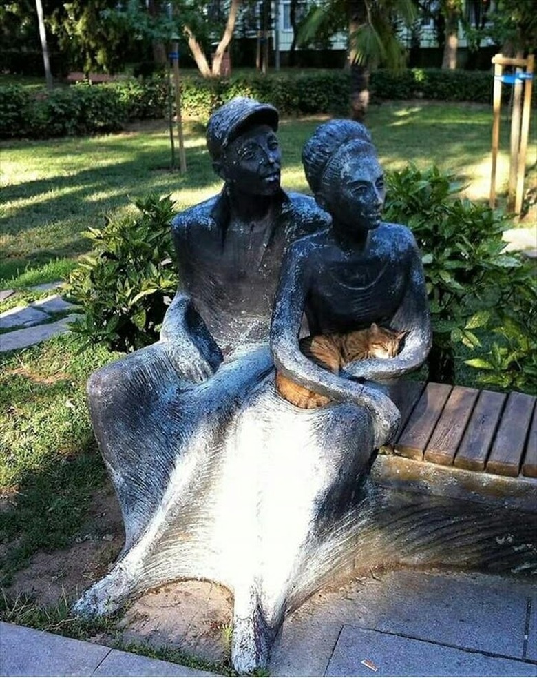 Cat curled in lap of statue