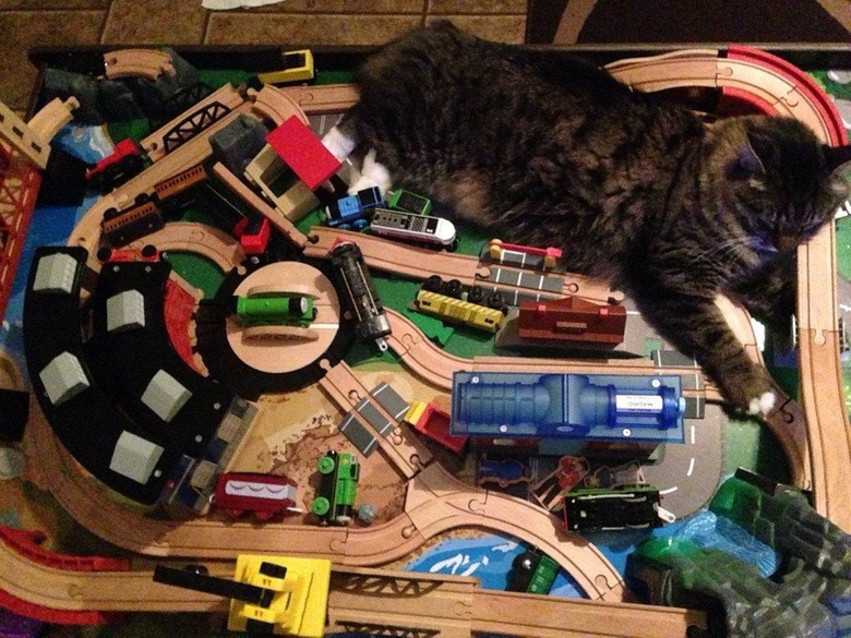 Cat laying on miniature railroad tracks.