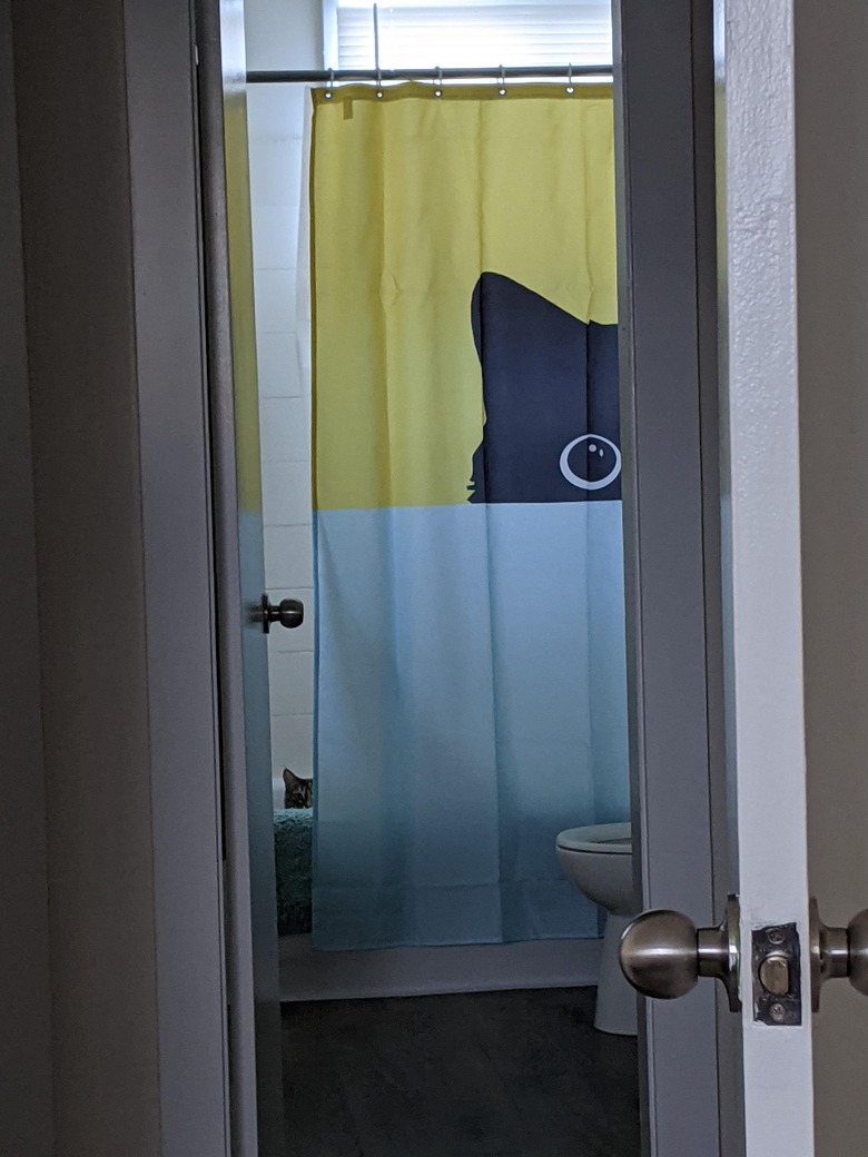 Black cat hides in shower next to curtain that also has a print of a black cat hiding over a bathtub.