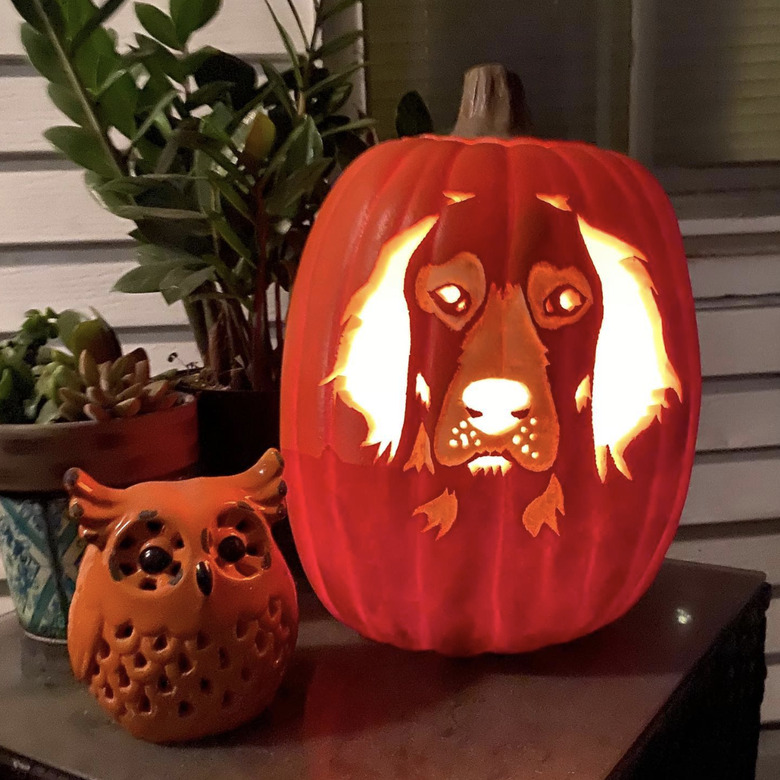 carved golden retriever portrait in a jack-o-lantern next to a ceramic owl.