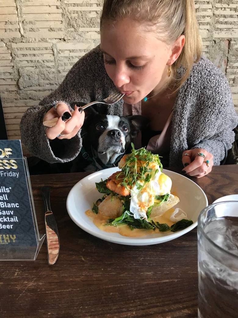 A dog is sitting on a woman's lap as she eats.