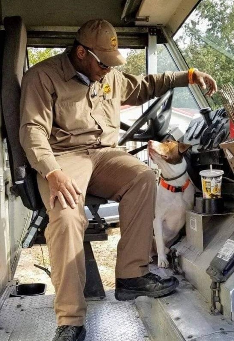 Dog and UPS driver sitting in UPS truck.