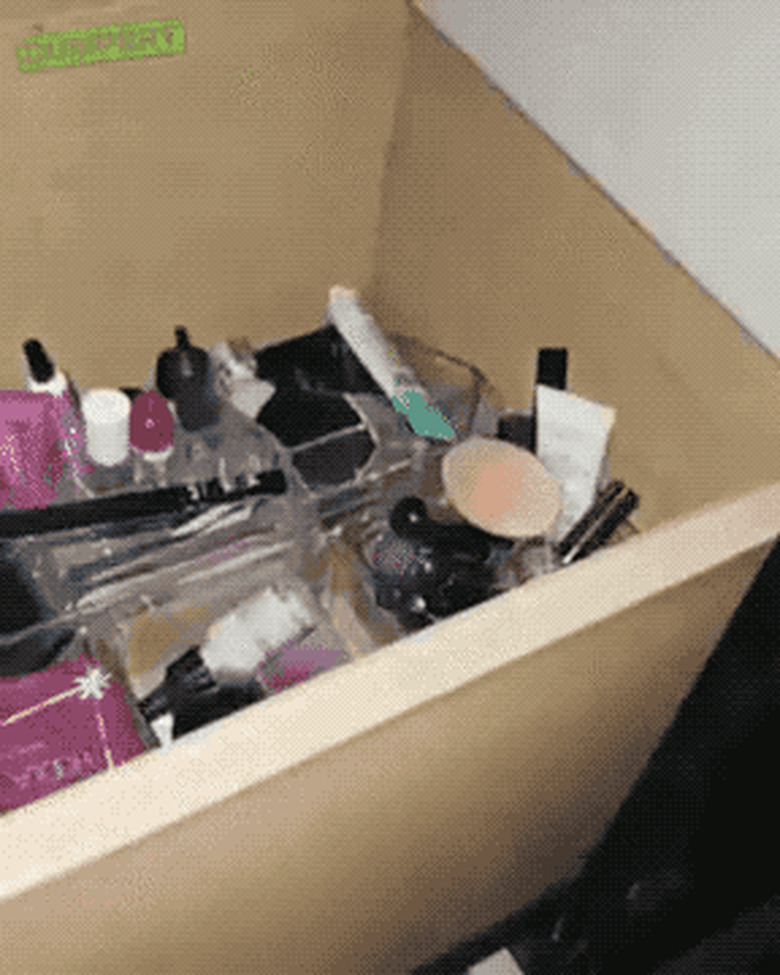 cat tries to steal lipstick from makeup drawer