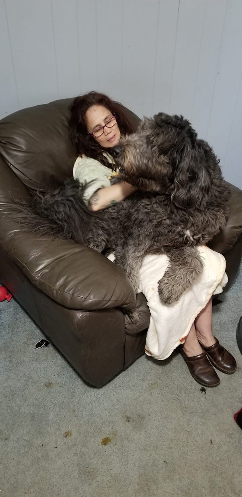 big dog sleeps on sleeping woman