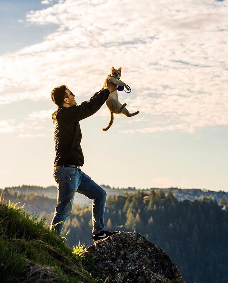 Man on a mountain holding up a cat like Simba in The Lion King