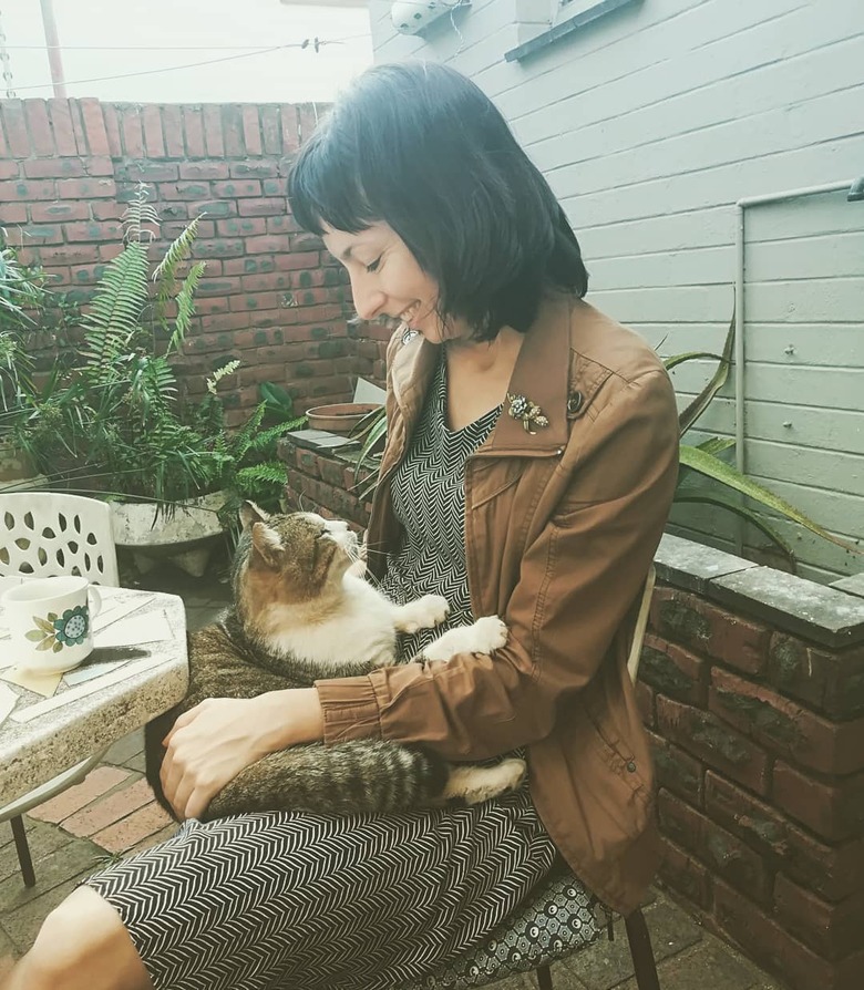 cat sitting on woman's lap