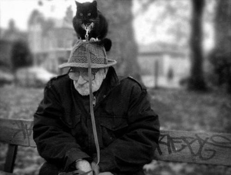 Cat on Man's Head