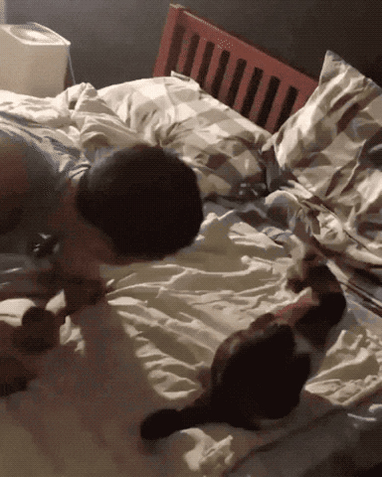 man teaches cat to flop on bed