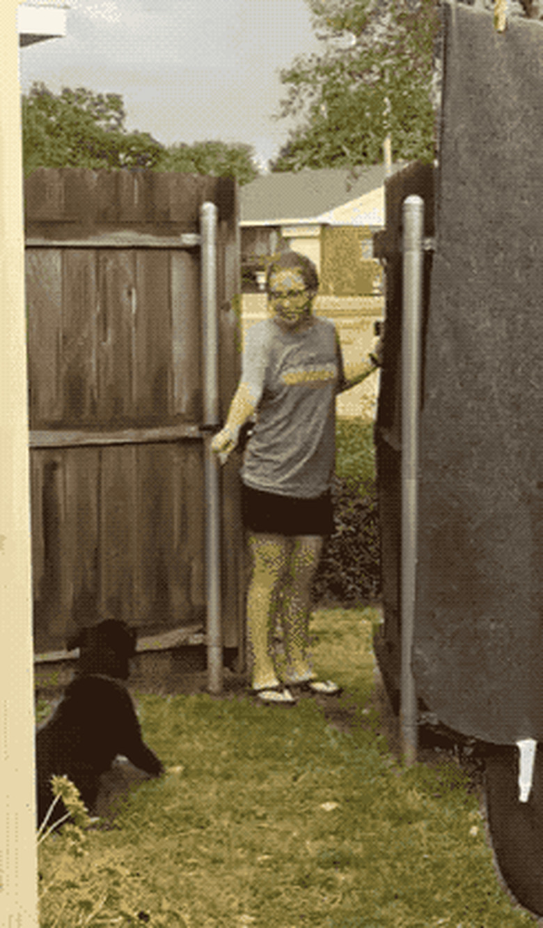 dog climbs fence to catch up with person