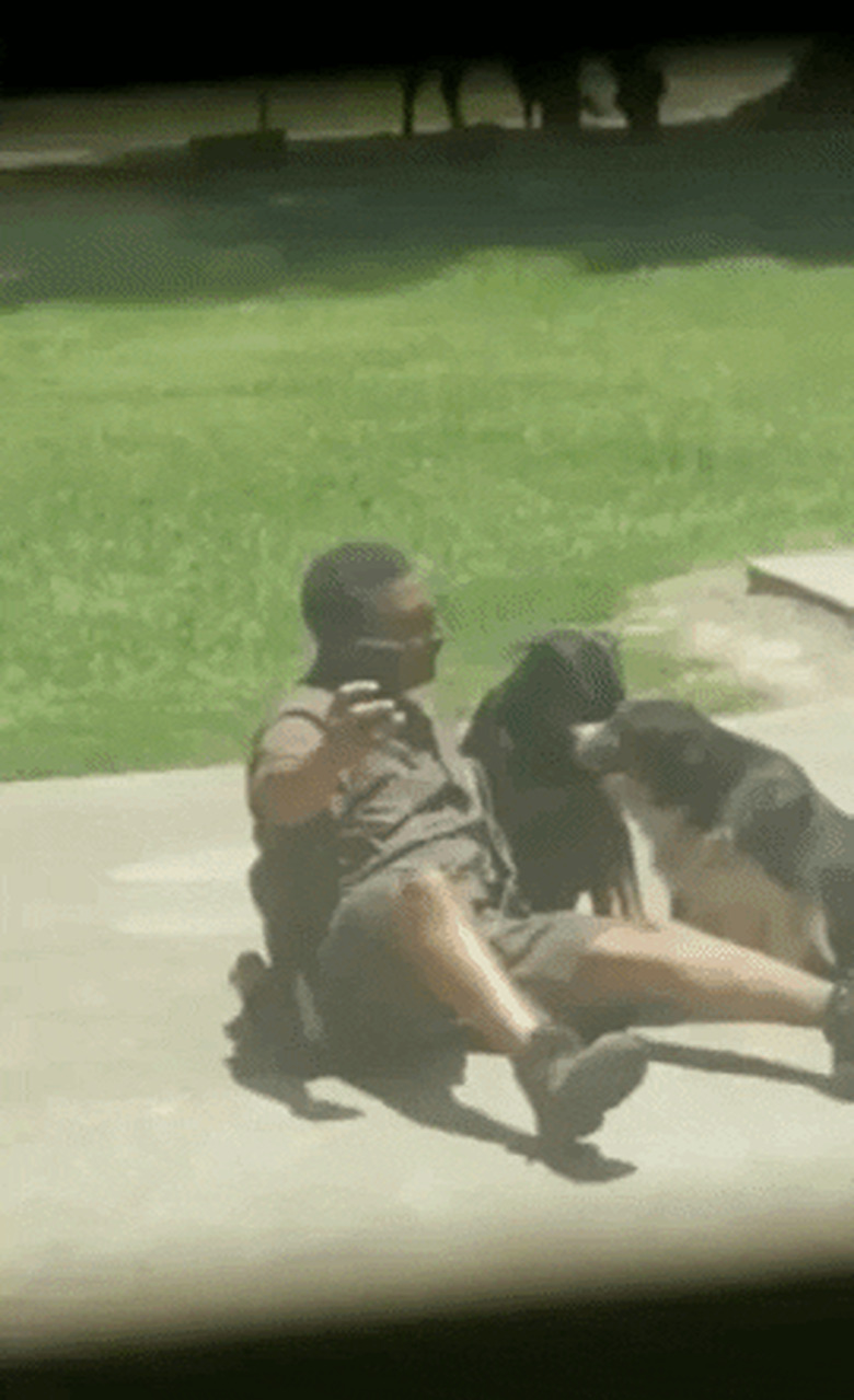 UPS guy takes selfie with dog