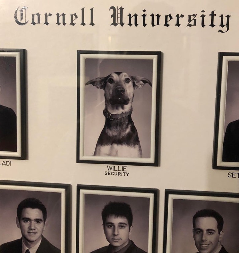 A yearbook photo from Cornell University of a dog. Underneath the photo it says 