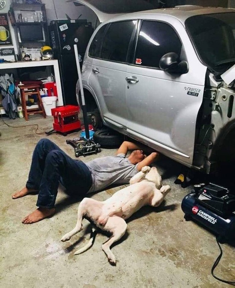 A person and their dog are both lying on their backs underneath a car in a garage.