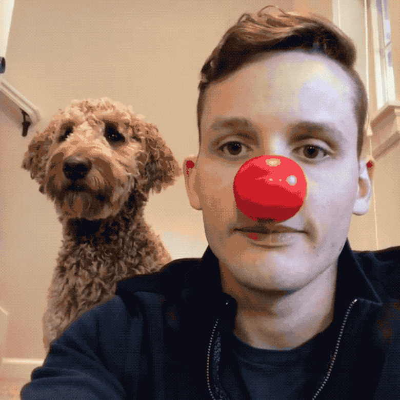 dog slowly mouths red clown nose off man's face