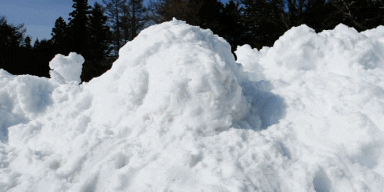 corgi in pile of snow