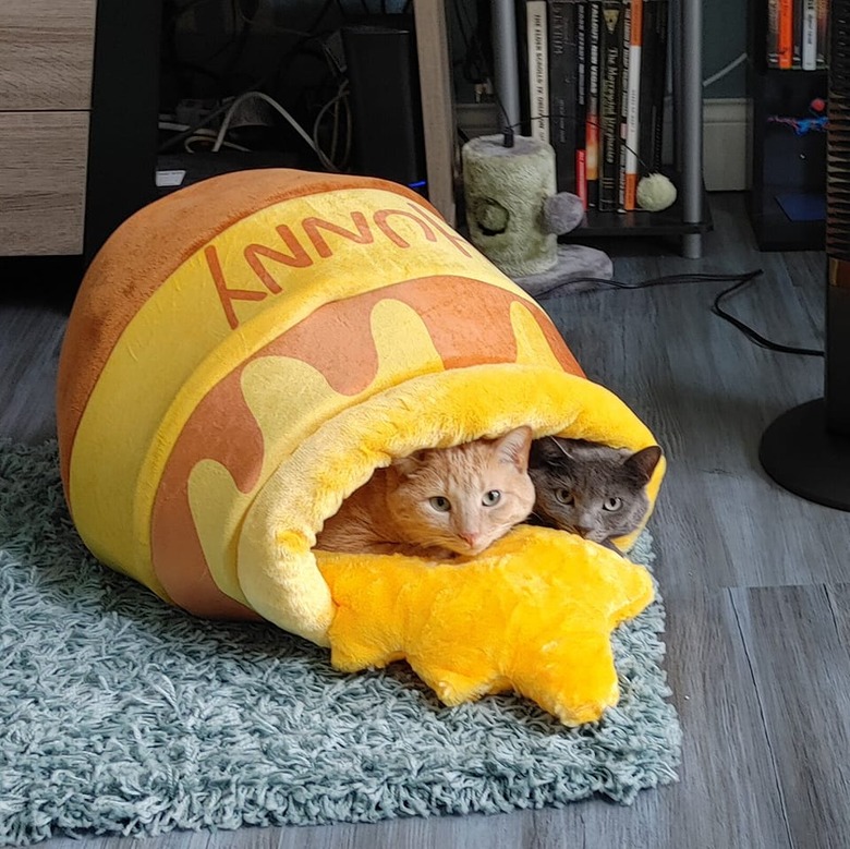 Two cats are sharing a bed that looks like a honey pot, one is orange and the other is gray.