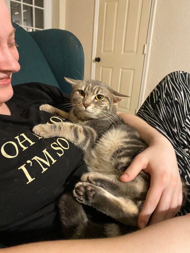 A woman cradles a grumpy looking cat with 